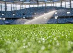 意甲联赛积,分榜公布,罗马,博天堂,彩票平台,在线购彩,快速开奖,安全投注