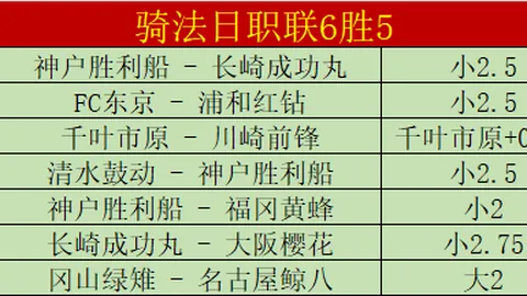 海登海姆对阵霍芬海姆，德甲副班长形势堪忧