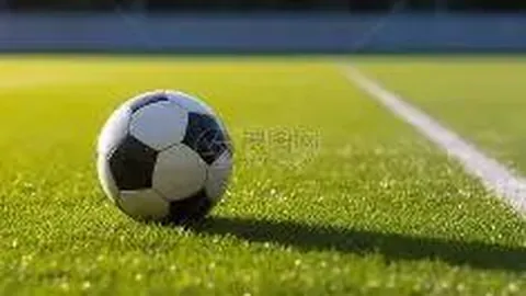 海登海姆vs勒沃库森 德甲期号15 胜率10 专家质合推荐