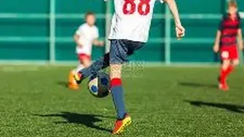 好市多爆款可颂吐司受热捧，仅需8元，达人分享食用技巧